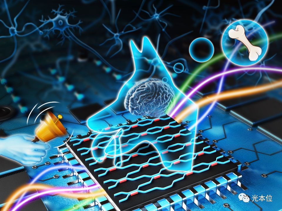 光子关联学习｜ 降低百倍AI训练成本，提升千倍推理速度