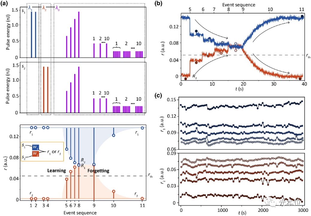 光子关联学习｜ 降低百倍AI训练成本，提升千倍推理速度(图4)