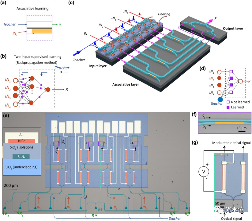 光子关联学习｜ 降低百倍AI训练成本，提升千倍推理速度(图5)